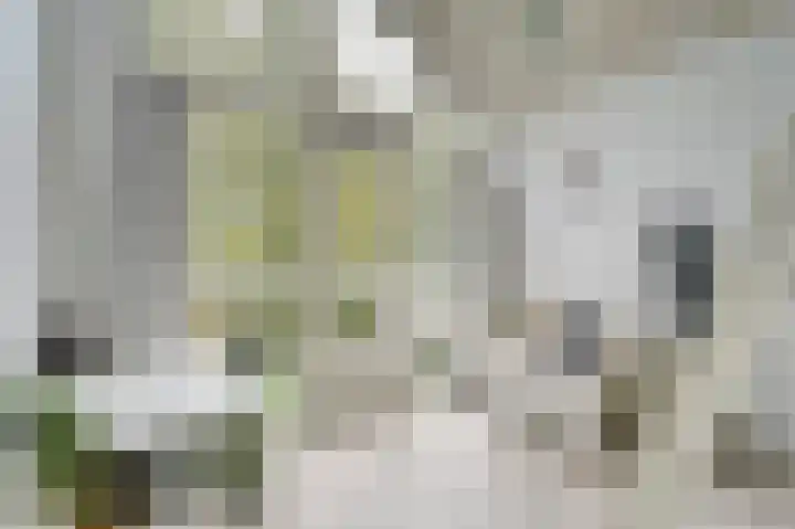 Gruttolaan 19 Koudekerk aan den Rijn thumbnail 29