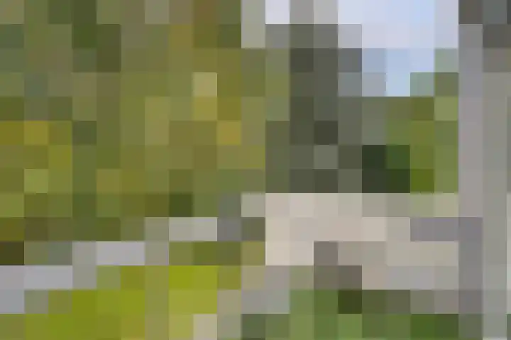 Gruttolaan 19 Koudekerk aan den Rijn thumbnail 31
