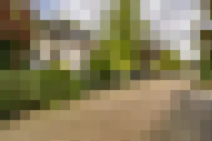 Gruttolaan 19 Koudekerk aan den Rijn thumbnail 34