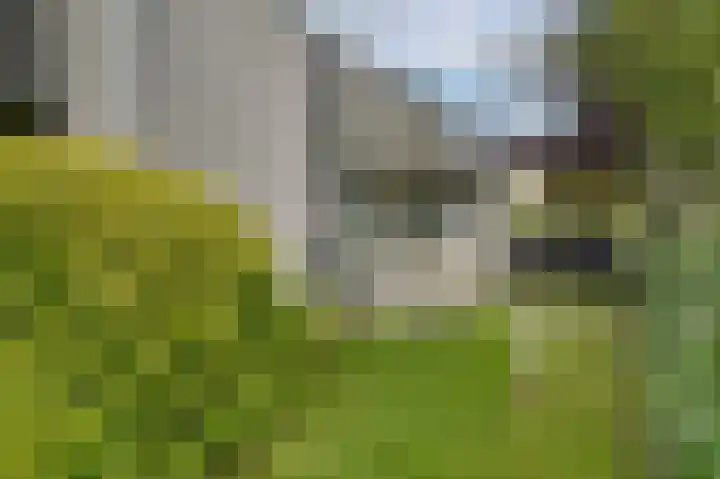 Gruttolaan 19 Koudekerk aan den Rijn thumbnail 35