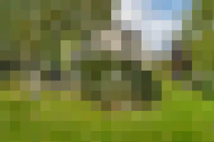 Gruttolaan 19 Koudekerk aan den Rijn thumbnail 36