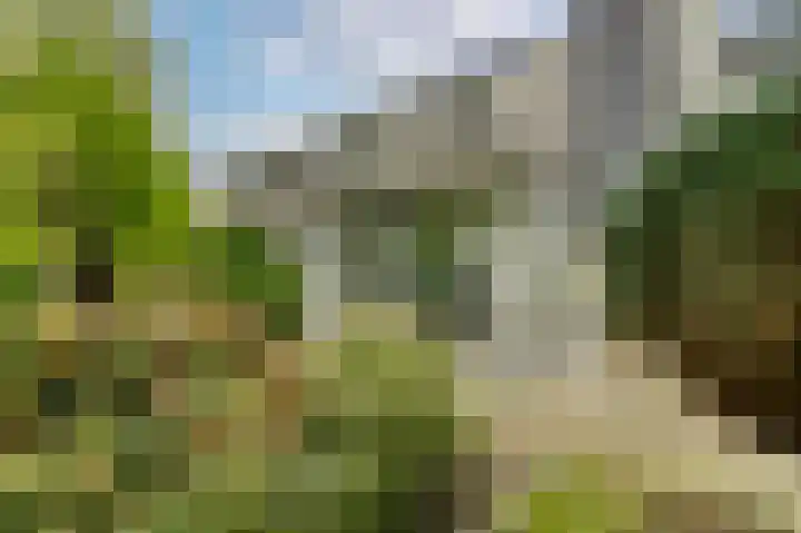 Gruttolaan 19 Koudekerk aan den Rijn thumbnail 38