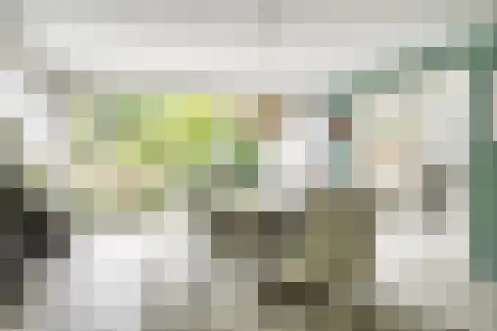 Gruttolaan 19 Koudekerk aan den Rijn thumbnail 4