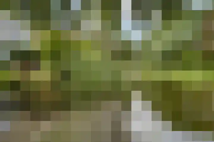 Gruttolaan 19 Koudekerk aan den Rijn thumbnail 40