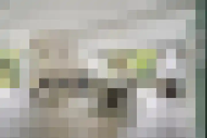 Gruttolaan 19 Koudekerk aan den Rijn thumbnail 6