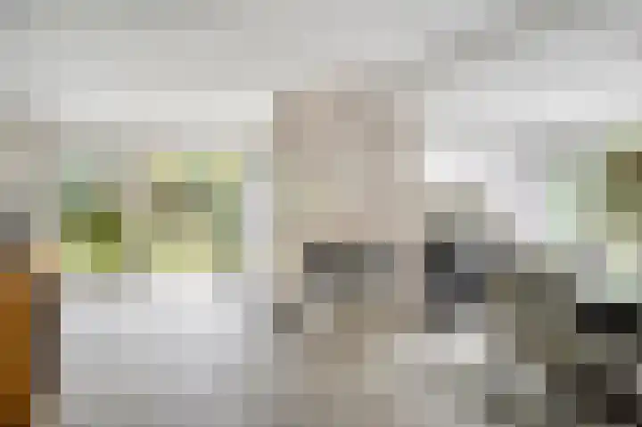 Gruttolaan 19 Koudekerk aan den Rijn thumbnail 7
