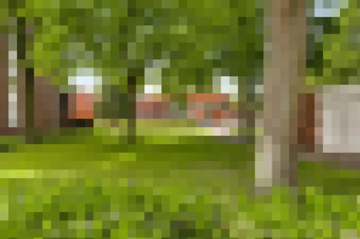 Gruttolaan 2 Weert thumbnail 9