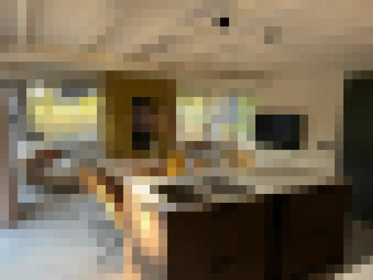 Gruttolaan 218 Ballum thumbnail 11
