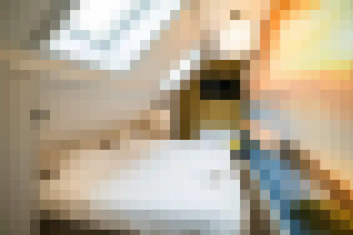 Gruttolaan 218 Ballum thumbnail 17