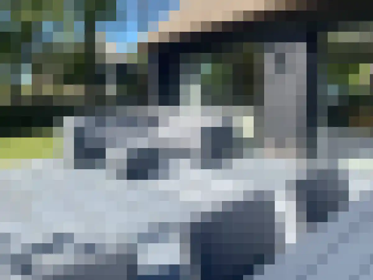 Gruttolaan 218 Ballum thumbnail 25