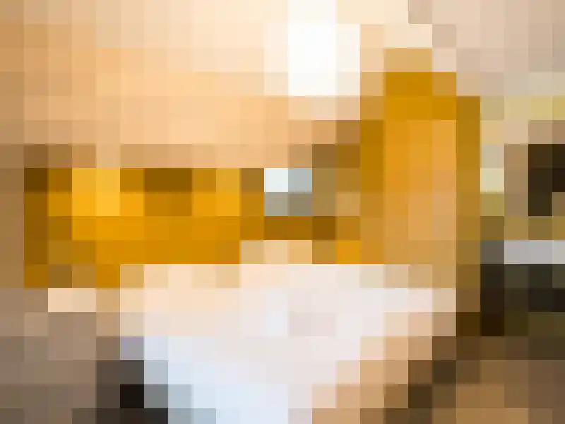 Gruttolaan 218 Ballum thumbnail 5