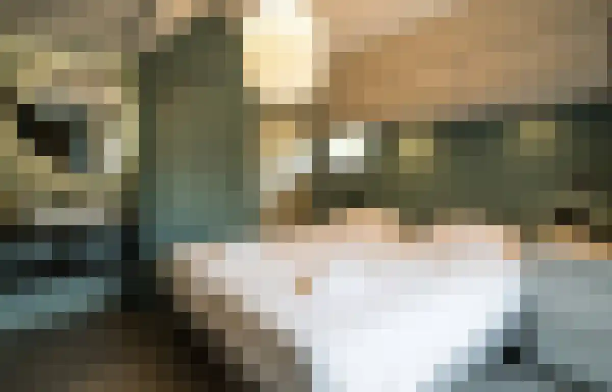 Gruttolaan 219 Ballum thumbnail 19