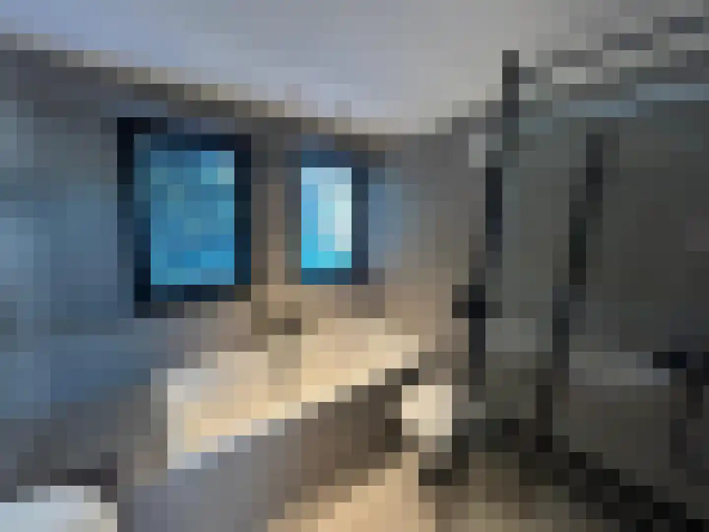 Gruttolaan 219 Ballum thumbnail 22