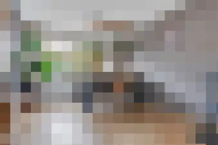 Gruttolaan 23 Driebruggen thumbnail 12