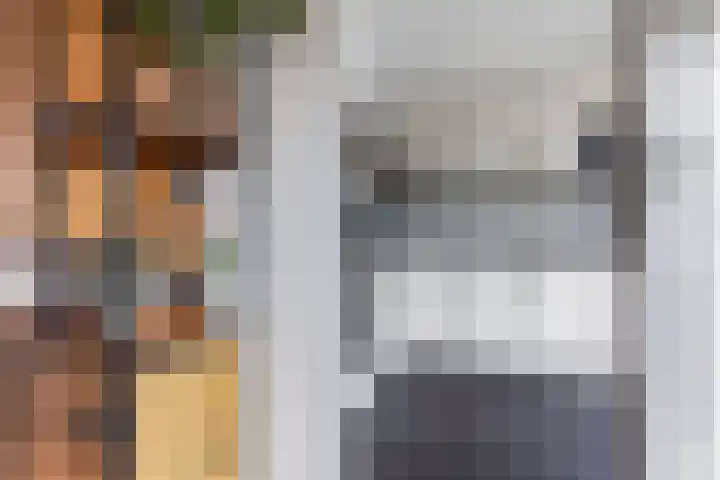 Gruttolaan 23 Driebruggen thumbnail 16