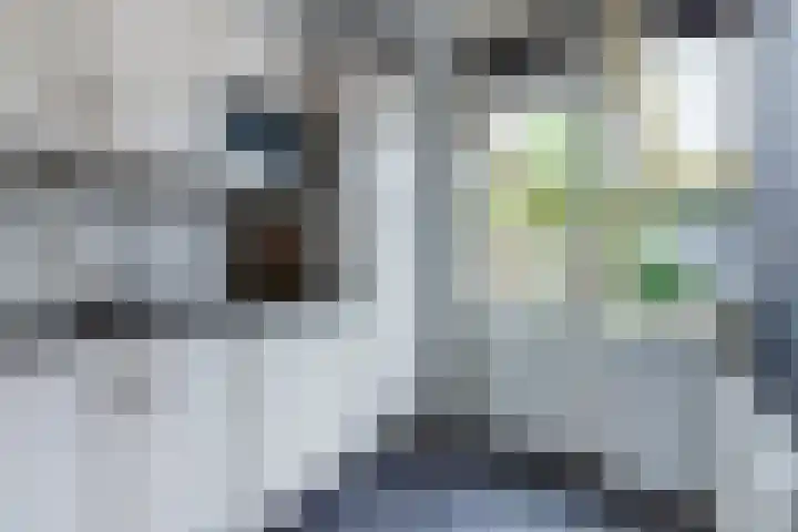 Gruttolaan 23 Driebruggen thumbnail 17
