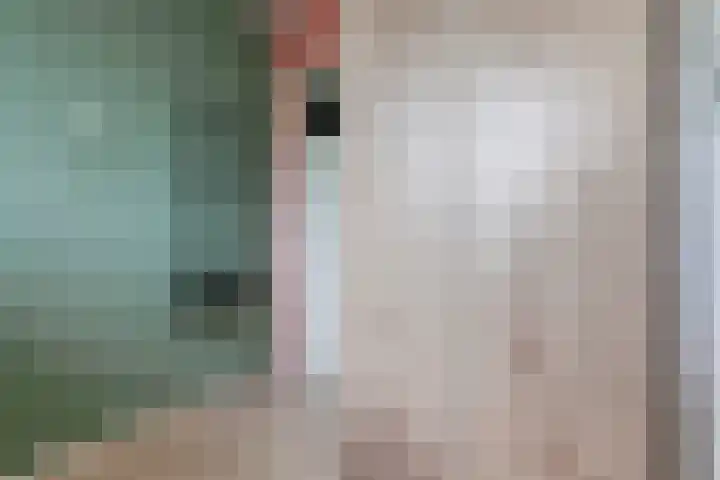 Gruttolaan 23 Driebruggen thumbnail 22