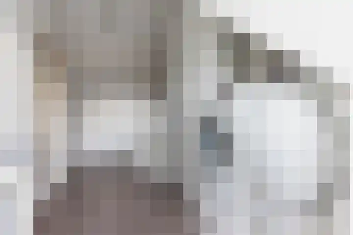 Gruttolaan 23 Driebruggen thumbnail 31