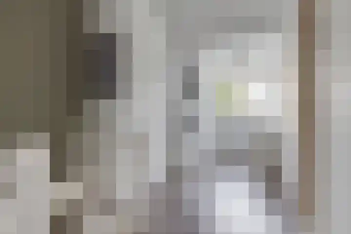 Gruttolaan 23 Driebruggen thumbnail 32