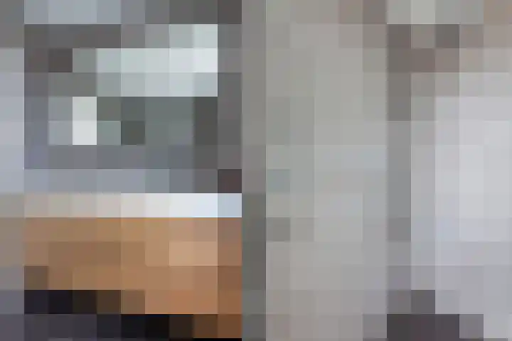 Gruttolaan 23 Driebruggen thumbnail 4