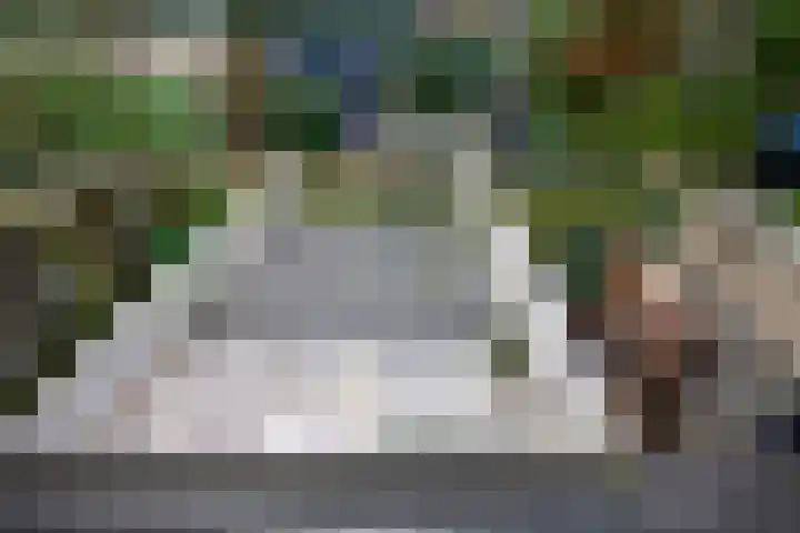 Gruttolaan 23 Driebruggen thumbnail 40