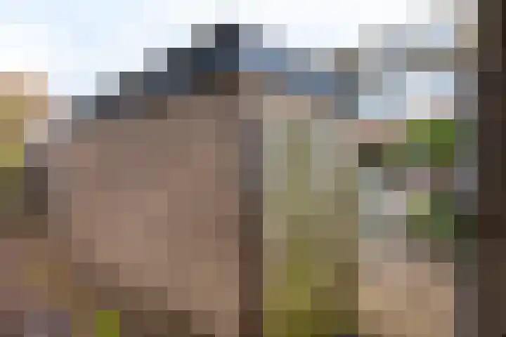 Gruttolaan 23 Driebruggen thumbnail 41