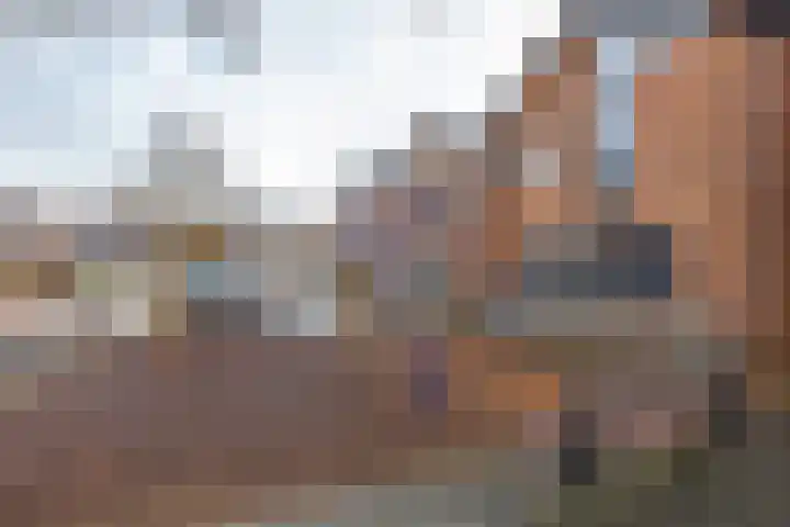 Gruttolaan 23 Driebruggen thumbnail 44