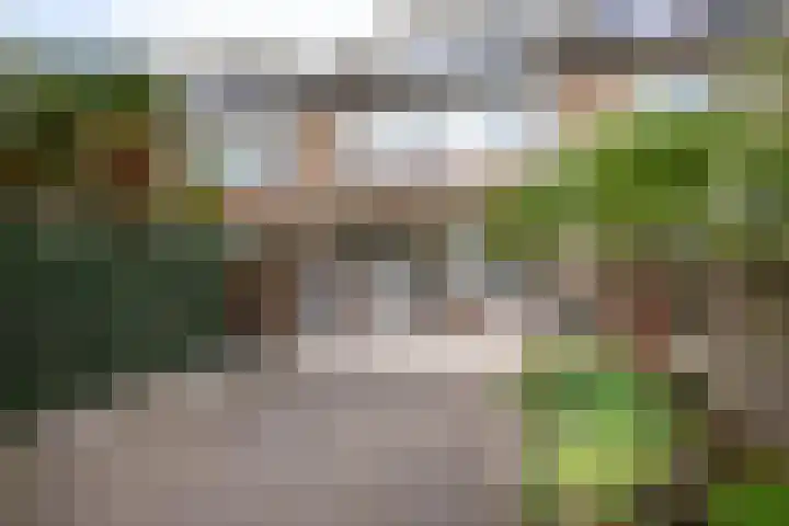 Gruttolaan 23 Driebruggen thumbnail 5
