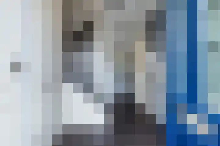 Gruttolaan 23 Driebruggen thumbnail 7