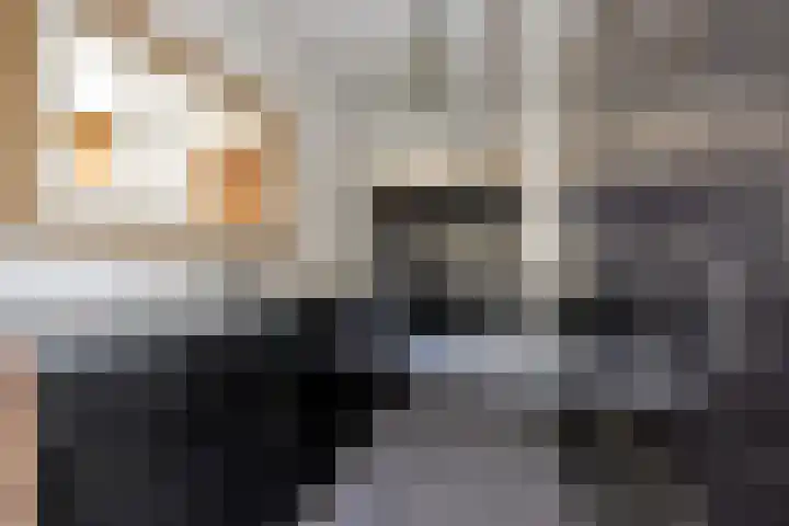 Gruttolaan 4 't Veld thumbnail 11