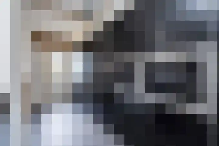 Gruttolaan 4 't Veld thumbnail 12