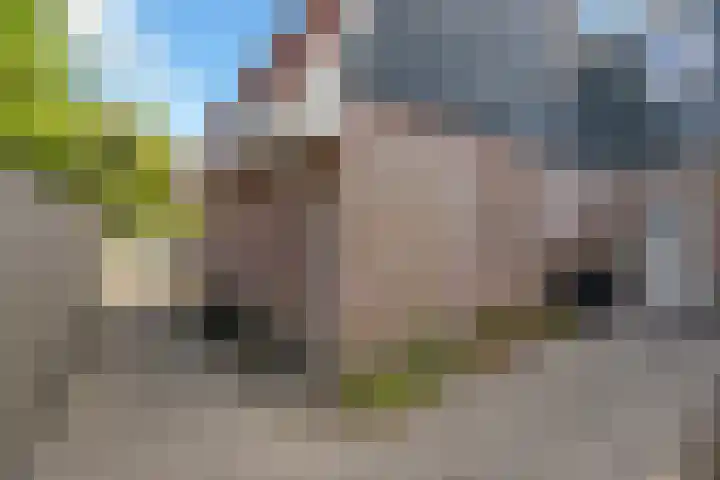 Gruttolaan 4 't Veld thumbnail 26