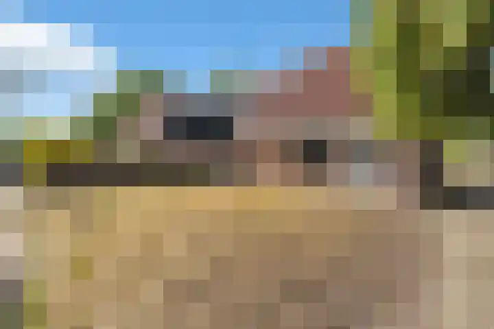 Gruttolaan 4 't Veld thumbnail 4