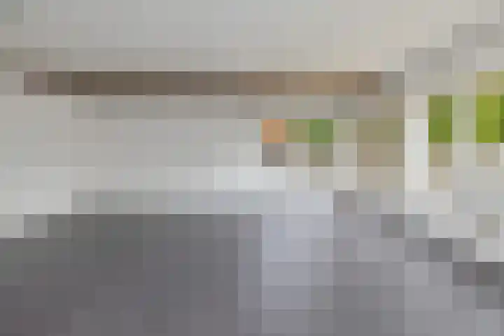 Gruttolaan 4 't Veld thumbnail 8