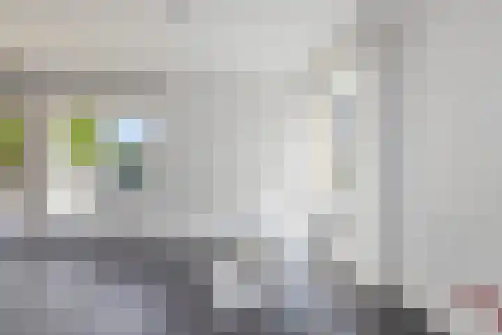 Gruttolaan 4 't Veld thumbnail 9