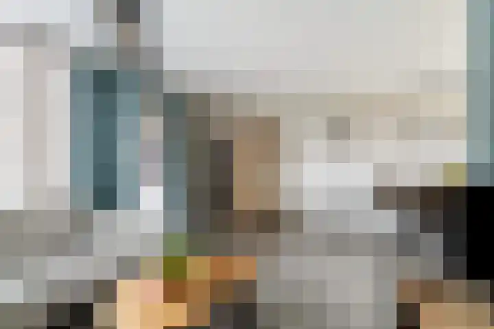 Gruttolaan 47 Driebruggen thumbnail 12