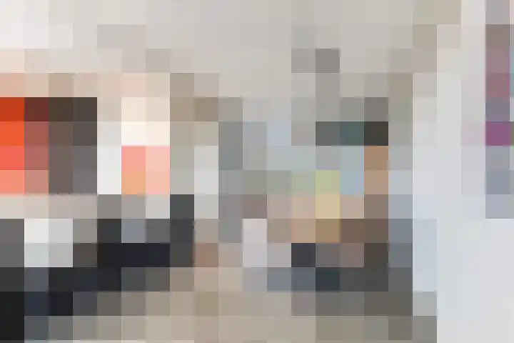 Gruttolaan 47 Driebruggen thumbnail 15