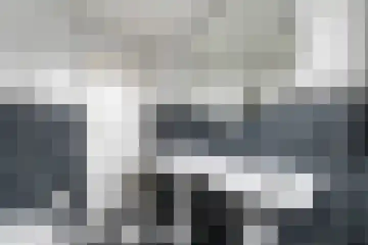 Gruttolaan 47 Driebruggen thumbnail 30