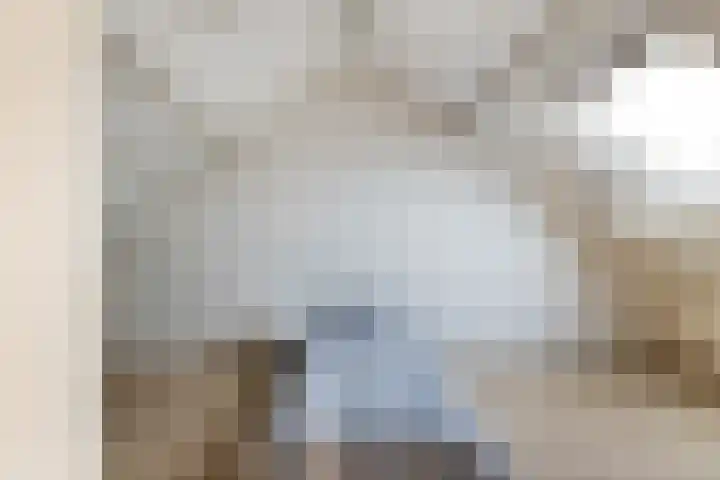 Gruttolaan 47 Driebruggen thumbnail 33