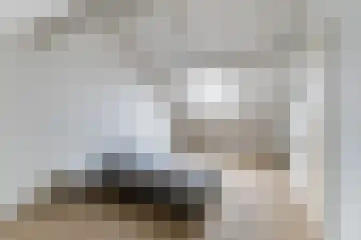 Gruttolaan 47 Driebruggen thumbnail 34