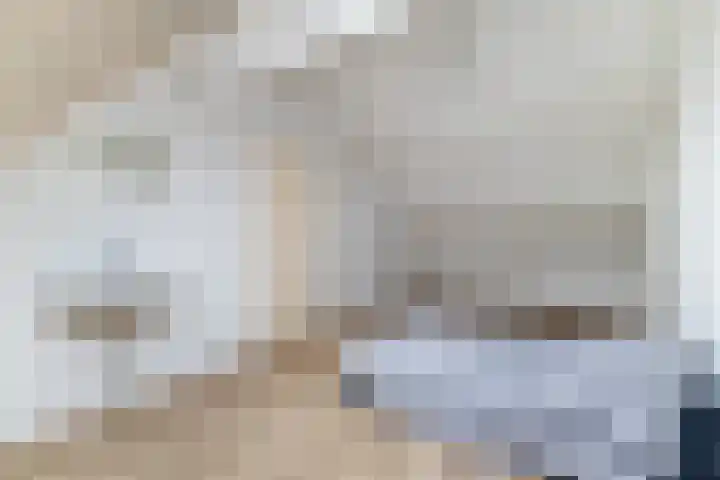 Gruttolaan 47 Driebruggen thumbnail 35