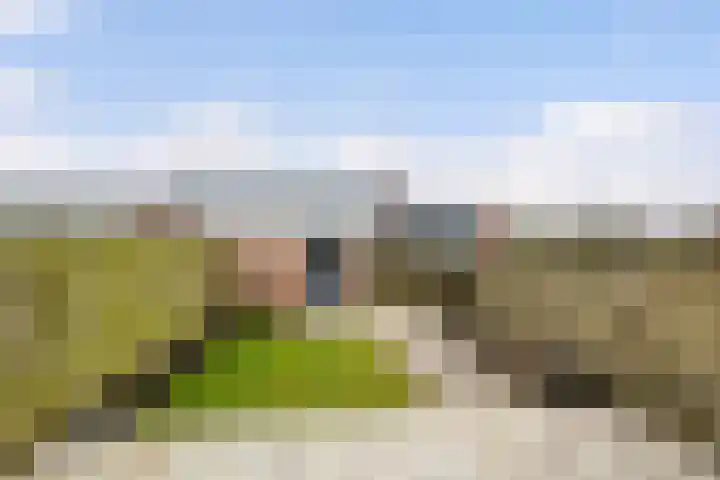 Gruttolaan 47 Driebruggen thumbnail 36