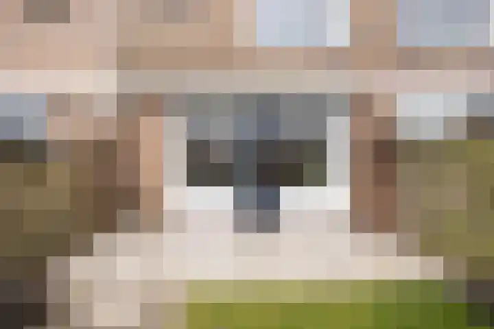 Gruttolaan 47 Driebruggen thumbnail 38
