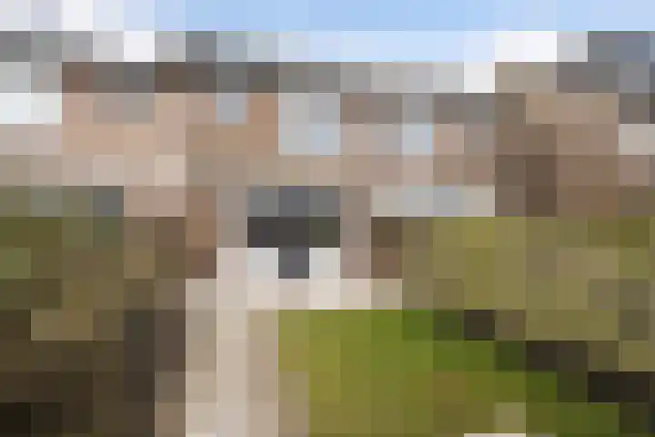 Gruttolaan 47 Driebruggen thumbnail 39