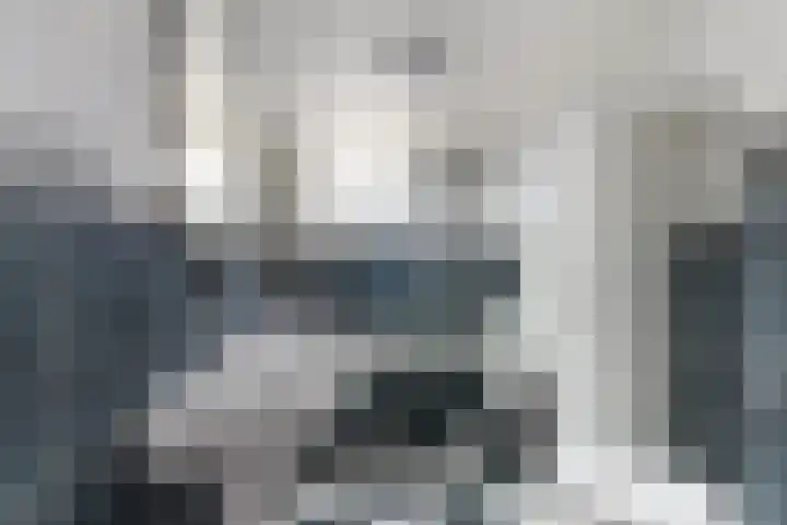 Gruttolaan 47 Driebruggen thumbnail 4