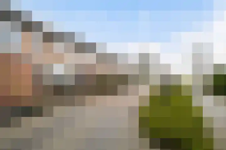 Gruttolaan 47 Driebruggen thumbnail 40
