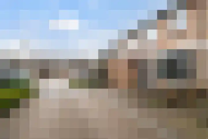 Gruttolaan 47 Driebruggen thumbnail 41