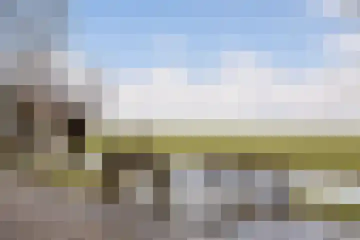 Gruttolaan 47 Driebruggen thumbnail 44