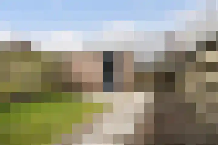 Gruttolaan 47 Driebruggen thumbnail 5