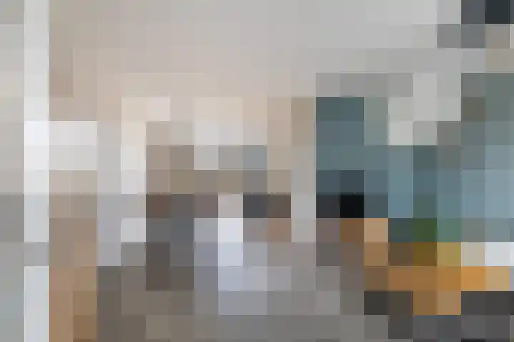 Gruttolaan 47 Driebruggen thumbnail 9